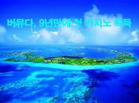 버뮤다, 9년만에 첫 카지노 획득