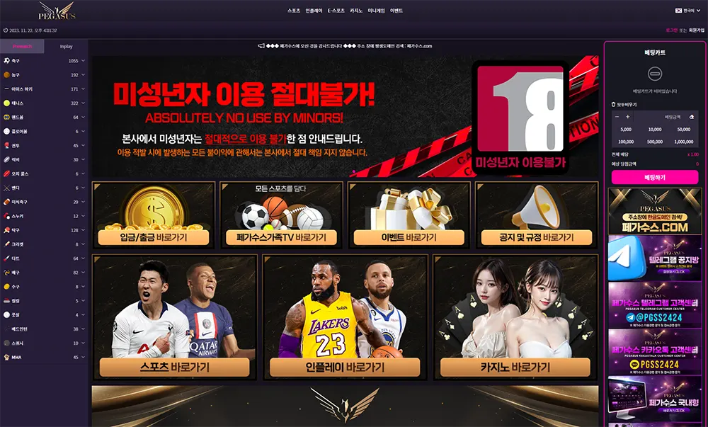 토토 카지노 베팅사이트 페가수스(PEGASUS)