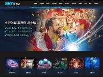 스카이팀(SKY TEAM)